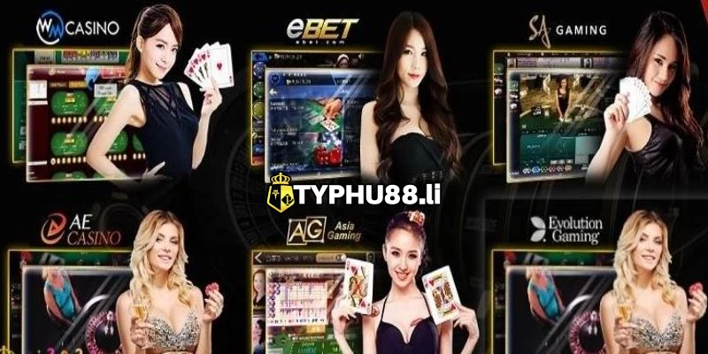 Casino Typhu88 luôn tạo nên sức hấp dẫn